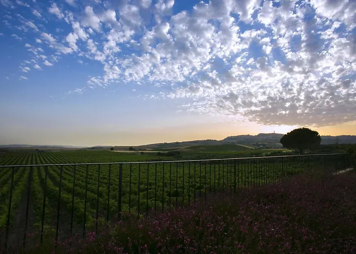 Baglio Borgesati 호텔 살레미